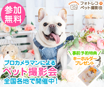 フレンチブルドッグが花に囲まれた可愛い雰囲気の中で笑顔を見せている、ペット撮影会の宣伝イメージ