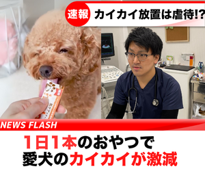 犬用メディカルスティックを食べている犬と獣医師の画像。犬はおやつに喜びを見せ、獣医師はケアについて説明している様子。
