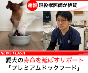 犬が犬用プレミアムフードを食べているシーンと、獣医師が考えている様子を示す画像