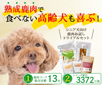 シニア犬向けのドッグフードセットを前にして微笑んでいるトイプードルの犬が写っている画像。背景には製品パッケージが並んでおり、明るい色彩で元気な雰囲気を演出している。