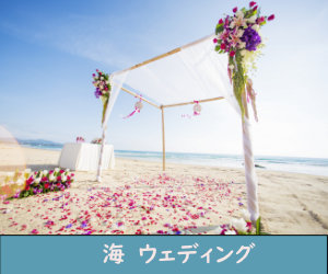 海を背景にしたウェディングセレモニーの設営。ビーチに設置されたテントに色とりどりの花びらが散り、周囲には美しい海と空が広がっている。