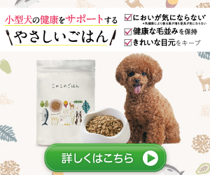 小型犬の健康にこだわったやさしいドッグフード【このこのごはん】