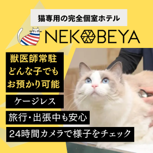NEKOBEYA 猫専用の完全個室ホテル｜獣医師常駐・ケージレス・24時間カメラで様子をチェック