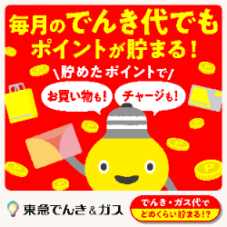 東急でんき＆ガス 毎月のでんき代でもポイントが貯まる