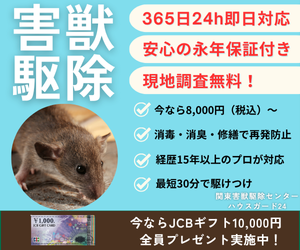 ハウスガード24｜害獣駆除365日24h即日対応・永年保証・現地調査無料・JCBギフト10,000円プレゼント