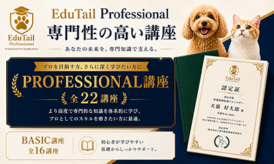 EduTail Professional 専門性の高い講座 全22講座 あなたの未来を専門知識で支える EduTail認定証イメージ