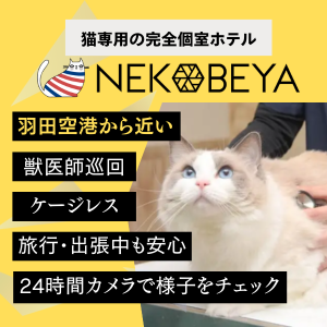 猫専用ペットホテルねこべや羽田空港店｜24時間見守りカメラ・完全個室・獣医師在籍｜空き状況・料金をチェック