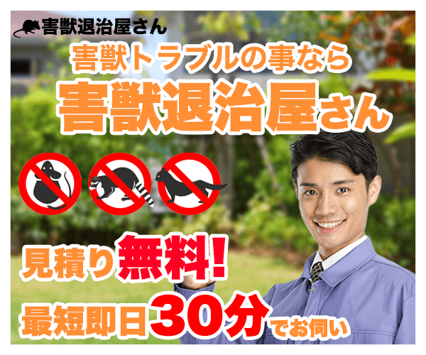 害獣退治屋さんの公式バナー｜害獣トラブルは最短即日30分でお伺い・見積り無料